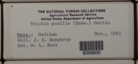 Image Associated With the Occurence